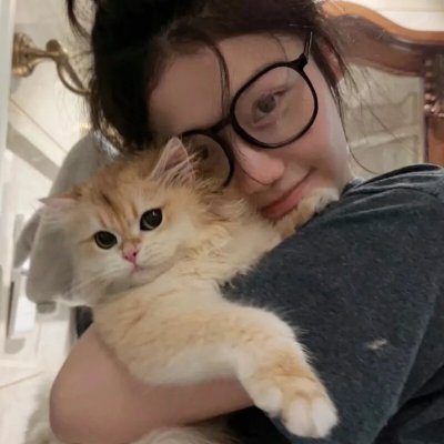好莱坞真情告白