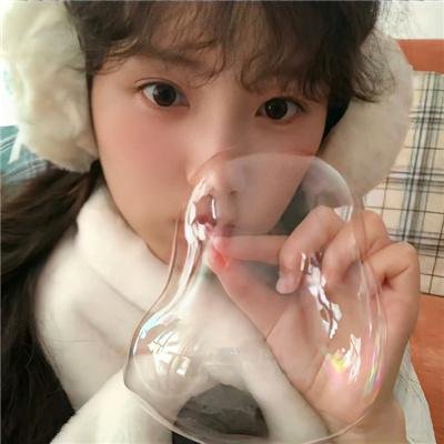 银杏床